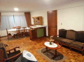 Amplio departamento en la zona central norte 1B